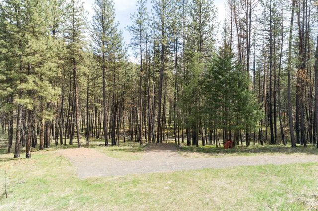 31875 Hawk Creek Ranch Rd N Rd, Davenport, WA 99122