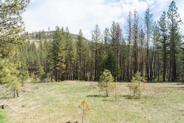 31875 Hawk Creek Ranch Rd N Rd, Davenport, WA 99122