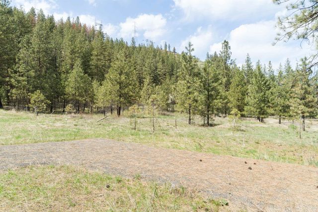 31875 Hawk Creek Ranch Rd N Rd, Davenport, WA 99122