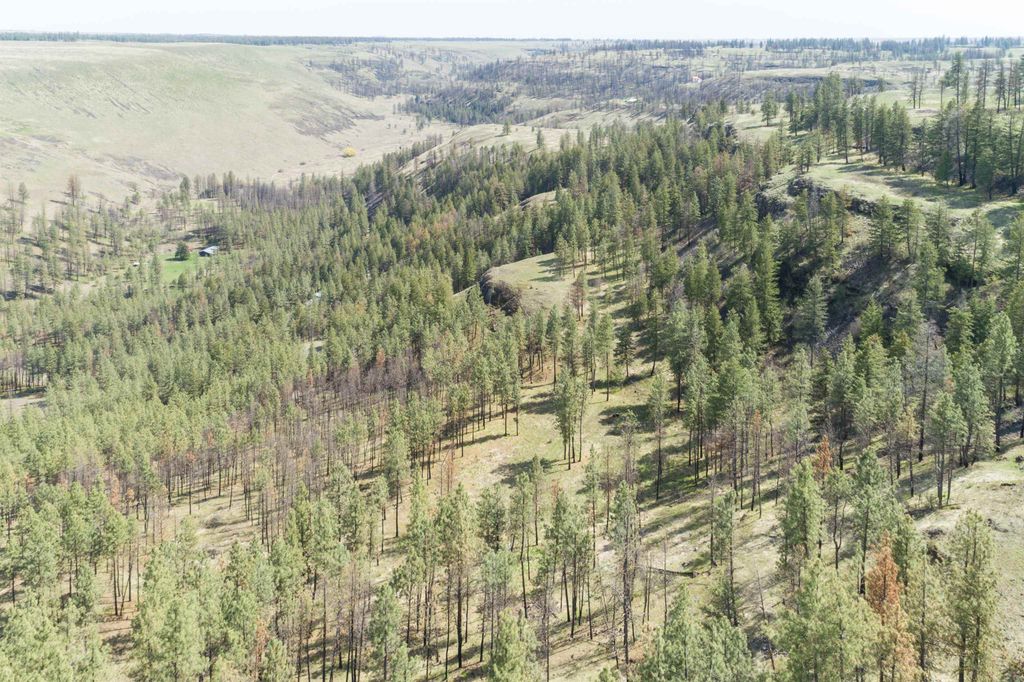 31875 Hawk Creek Ranch Rd N Rd, Davenport, WA 99122