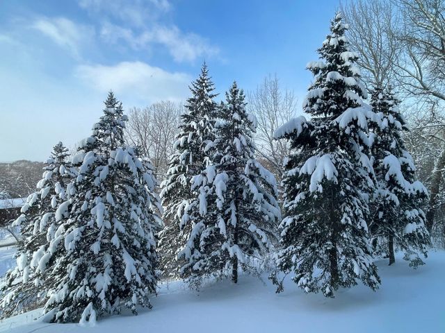 111 Imperial Drive W 106, West Saint Paul, MN 55118