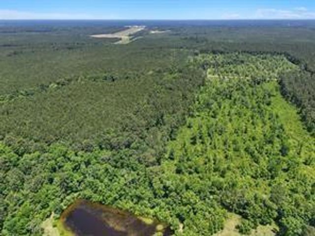0 TBD County Road 2235, Cleveland, TX 77327
