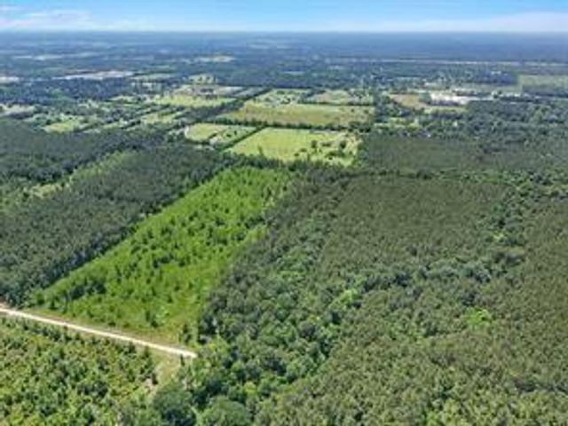 0 TBD County Road 2235, Cleveland, TX 77327