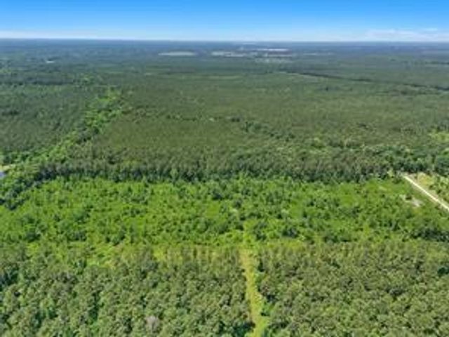 0 TBD County Road 2235, Cleveland, TX 77327