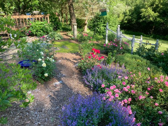 3249 Hendee Road, Blackman Twp, MI 49201