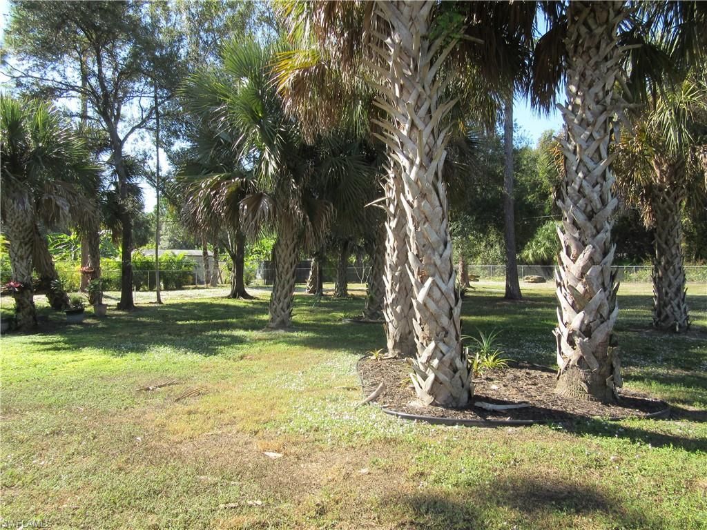 419 Broadway AVE, LEHIGH ACRES, FL 33972 — photo 4