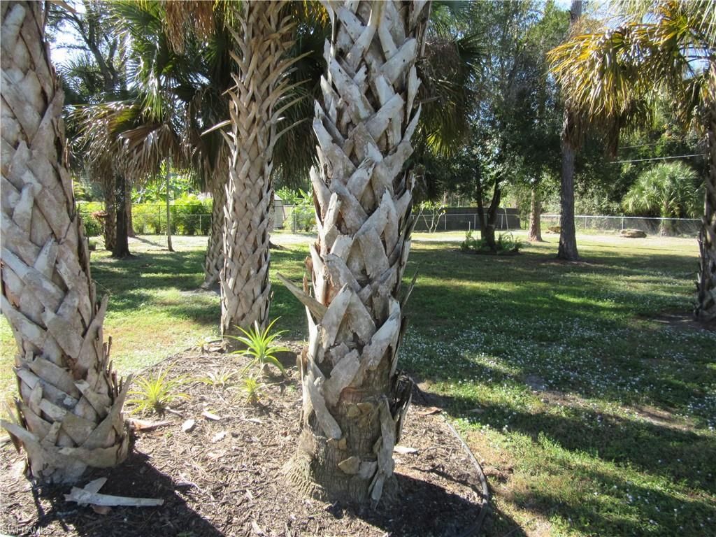 419 Broadway AVE, LEHIGH ACRES, FL 33972 — photo 5