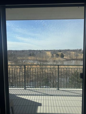 6420 Double Eagle Drive 501, Woodridge, IL 60517