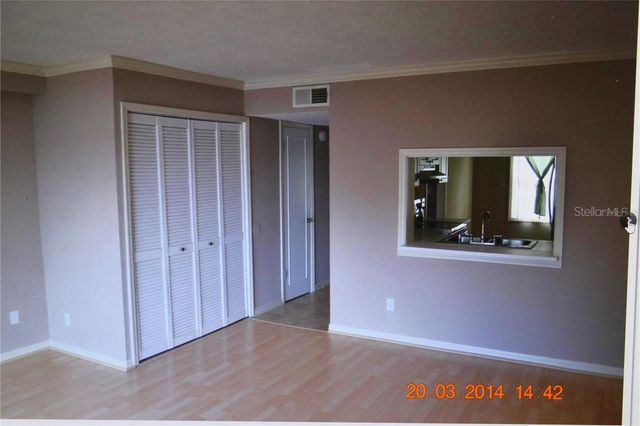 13735 JUNIPER BLOSSOM DRIVE, Tampa, FL 33618