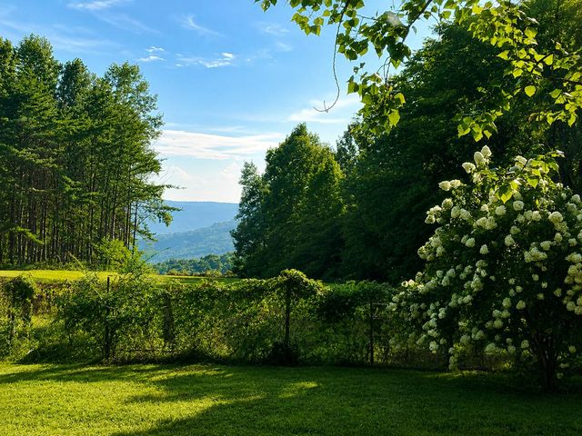 1824 Jackson Point Road, Sewanee, TN 37375