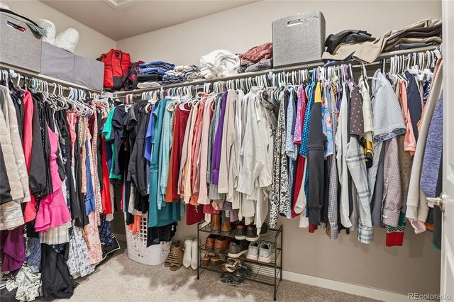 4851 Cattle Cross Road, Castle Rock, CO 80104