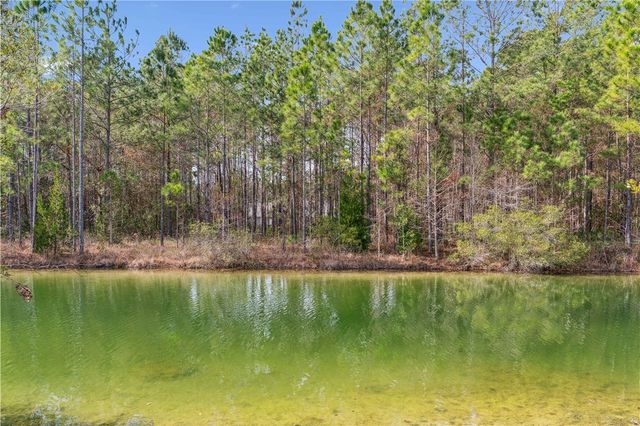 59 Pinto Court, Woodbine, GA 31569