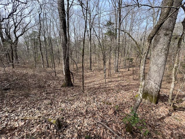 TBD Mt. Moriah, Omaha, TX 75571