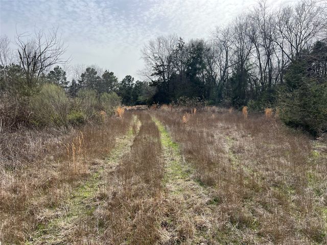 TBD Mt. Moriah, Omaha, TX 75571