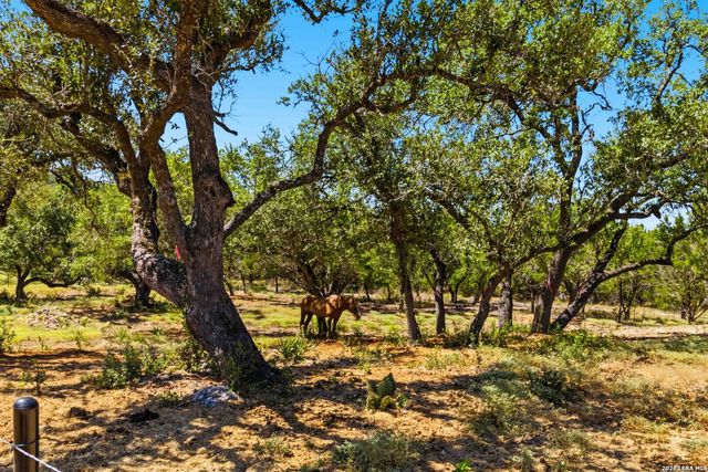 32870 STAHL LN, Bulverde, TX 78163