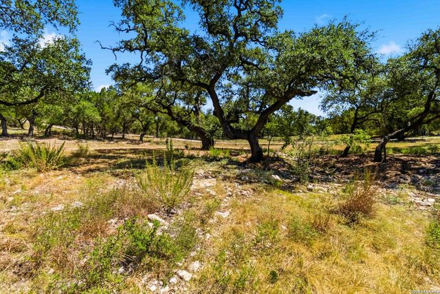 32870 STAHL LN, Bulverde, TX 78163