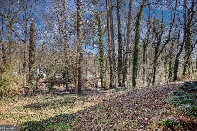 181 Colemans Bluff Drive, Woodstock, GA 30188