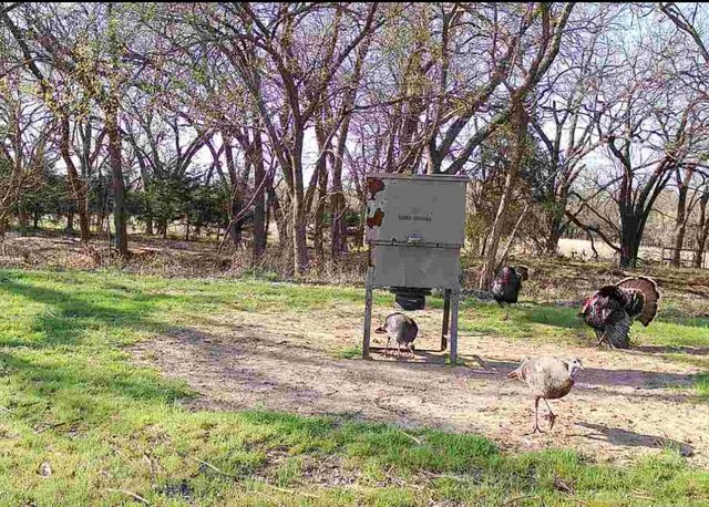 2011 County Road 1590, Alvord, TX 76225