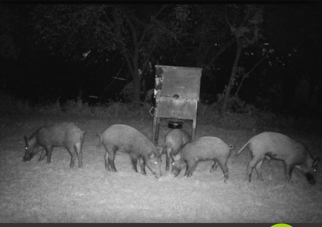 2011 County Road 1590, Alvord, TX 76225