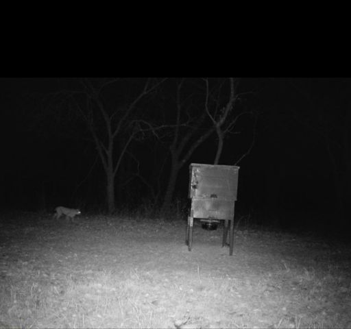 2011 County Road 1590, Alvord, TX 76225