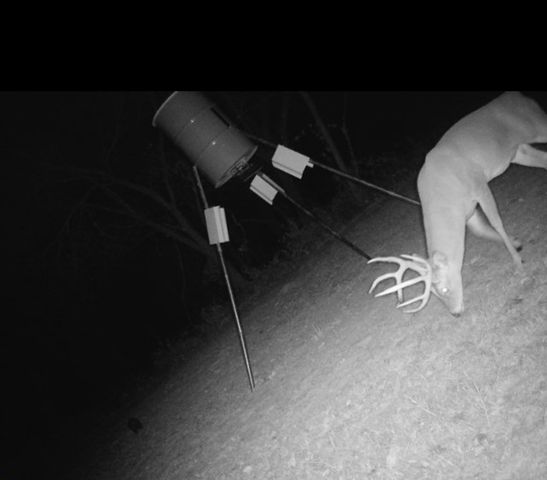 2011 County Road 1590, Alvord, TX 76225