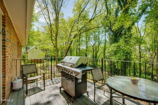 1525 Robin Hood Lane, Johnson City, TN 37604