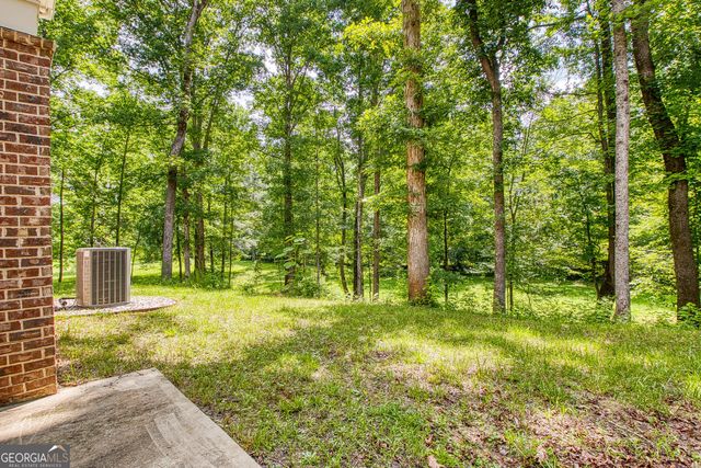 195 Buckeye Farms Drive, Moreland, GA 30259