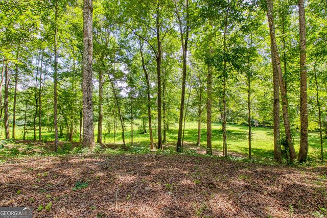 195 Buckeye Farms Drive, Moreland, GA 30259