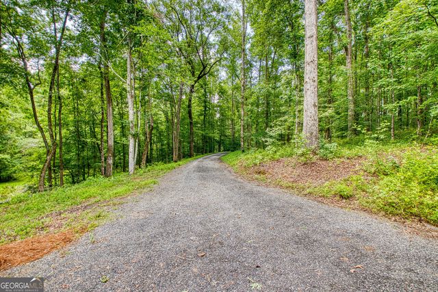195 Buckeye Farms Drive, Moreland, GA 30259