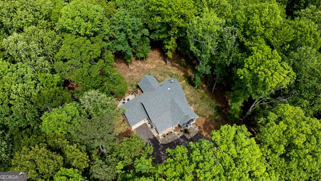 195 Buckeye Farms Drive, Moreland, GA 30259