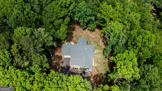 195 Buckeye Farms Drive, Moreland, GA 30259