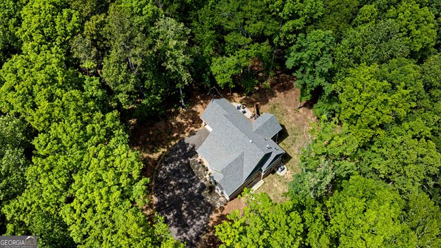 195 Buckeye Farms Drive, Moreland, GA 30259