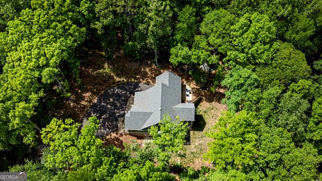 195 Buckeye Farms Drive, Moreland, GA 30259