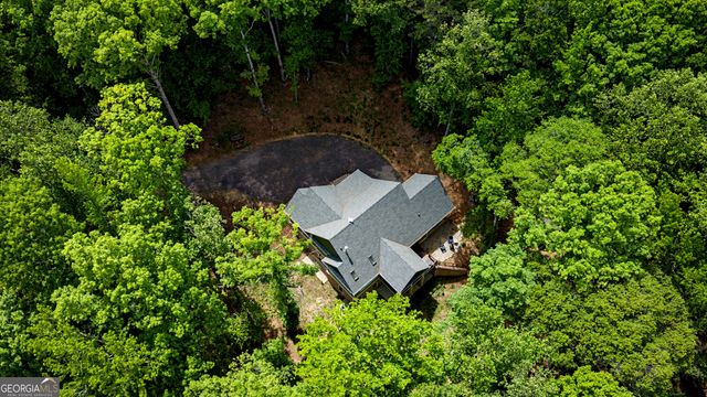 195 Buckeye Farms Drive, Moreland, GA 30259