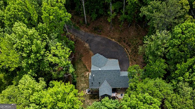195 Buckeye Farms Drive, Moreland, GA 30259