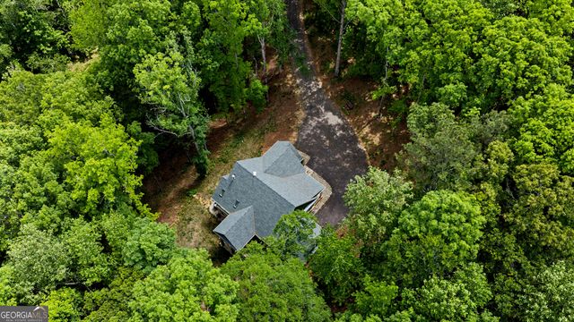 195 Buckeye Farms Drive, Moreland, GA 30259