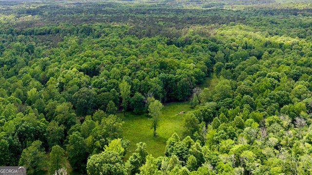 195 Buckeye Farms Drive, Moreland, GA 30259