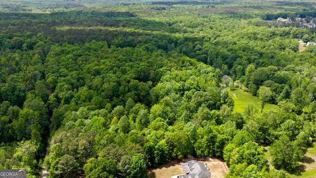 195 Buckeye Farms Drive, Moreland, GA 30259