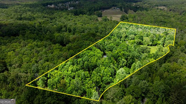 195 Buckeye Farms Drive, Moreland, GA 30259