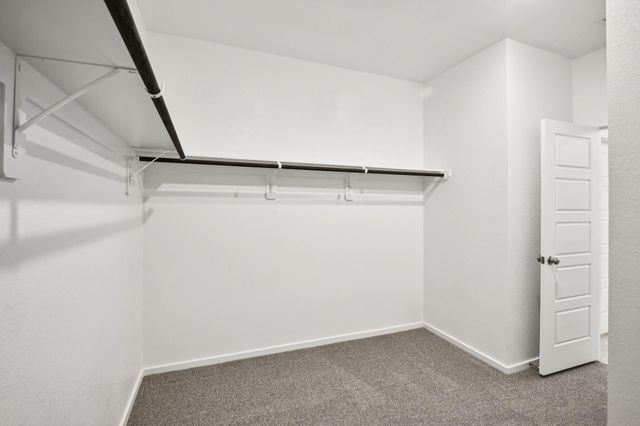 29226 Farmhouse Estates Drive, Waller, TX 77484