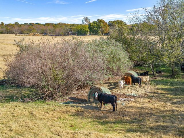 Lot 1 Cr-245, Terrell, TX 75160