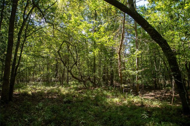 0 Us-59, Diboll, TX 75939