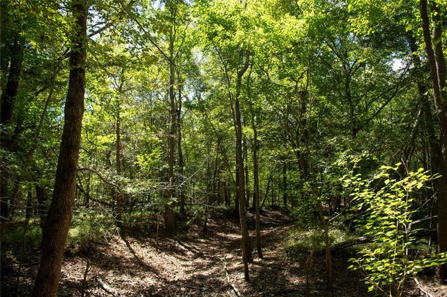 0 Us-59, Diboll, TX 75939