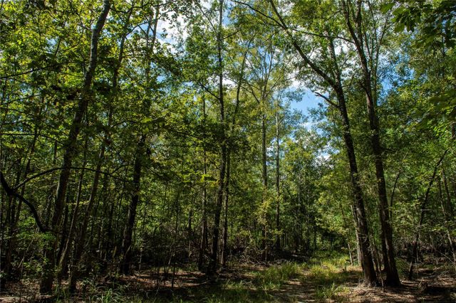 0 Us-59, Diboll, TX 75939