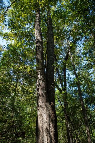 0 Us-59, Diboll, TX 75939