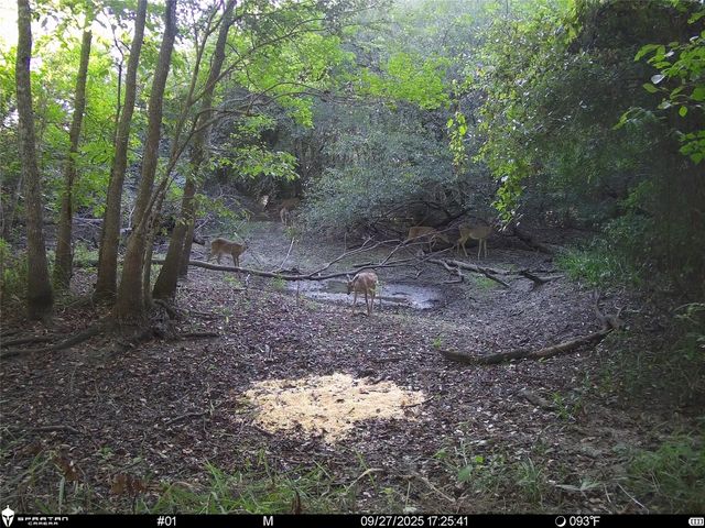 0 Us-59, Diboll, TX 75939