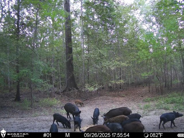 0 Us-59, Diboll, TX 75939