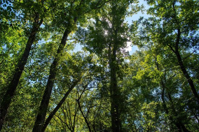 0 Us-59, Diboll, TX 75939