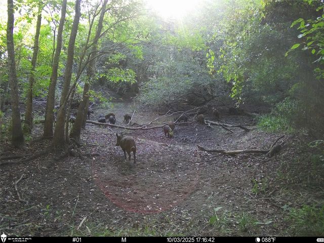 0 Us-59, Diboll, TX 75939