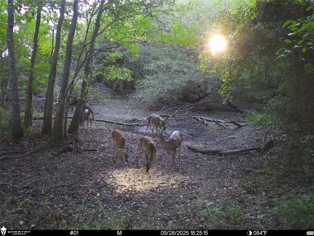 0 Us-59, Diboll, TX 75939